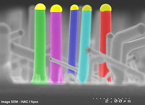 Nanofils