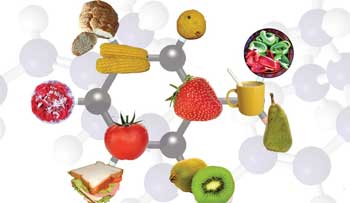 331_food-molecule-image